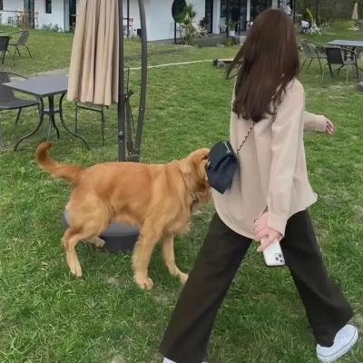 他叫我马拉拉